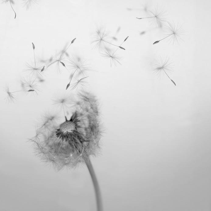 London Fertility Acupuncture